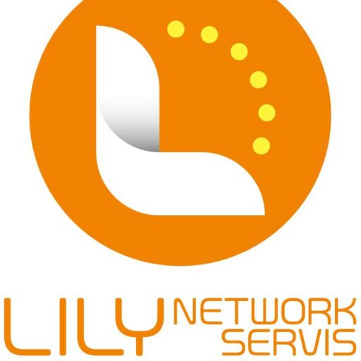 Lilly Network Services